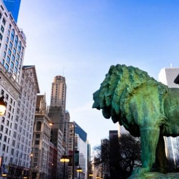 A side view of a row of buildings in Chicago with a lion statue in the foreground