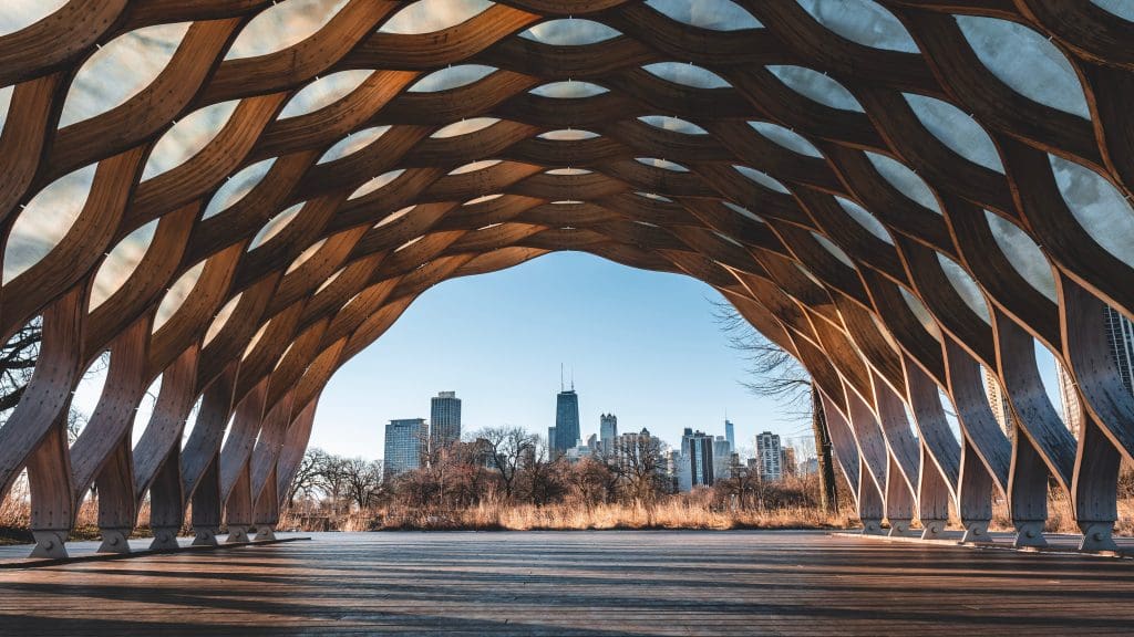 Far away shot of the Chicago skyline from a park area