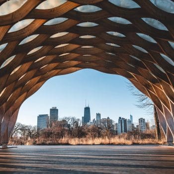 Far away shot of the Chicago skyline from a park area