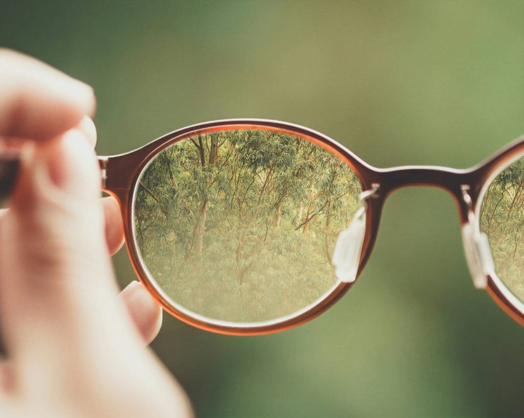 A close up view through a pair of glasses looking at trees